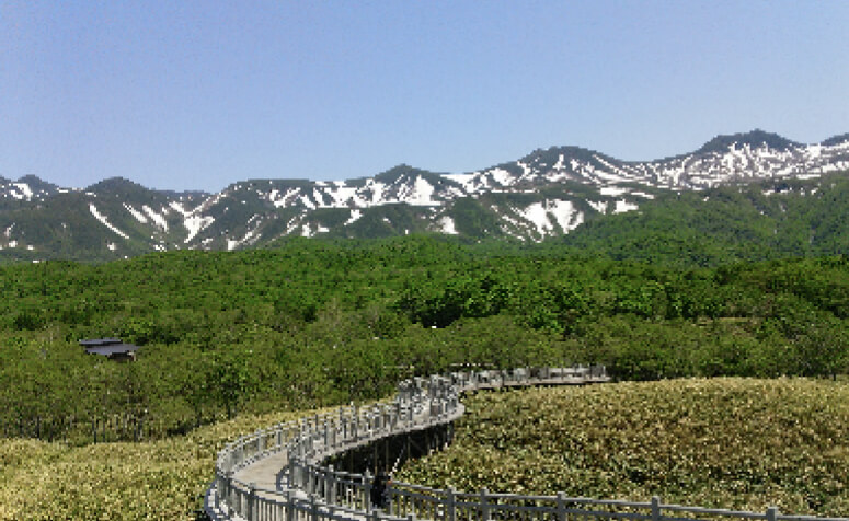 日本 北海道／知床半島の画像